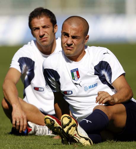 便是灰熊如 便是灰熊如